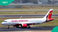 Air India: Pilots in severe panic after deadly crash killed 279 people