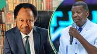 Dollar exchange rate: Shehu Sani slams Nigerians for not crediting Adeboye’s prophecy for naira rise