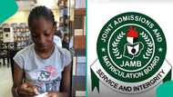 Resit JAMB: Girl who failed first UTME due to error passes second one with score of 262
