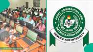 UTME resit: Frustration, outrage as candidates in Imo miss exam over JAMB's sudden centre change