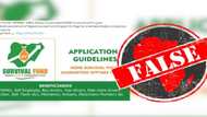 We’re not disbursing N80,000, FG warns Nigerians against scammers