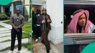 VDM, Davido, Naira Marley, 2 other Nigerian celebrities with the most passionate fan bases