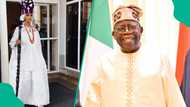 Ojude Oba 2025: Tinubu's minister joins renowned Ogun Festival in eye-catching wear, video trends