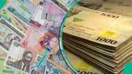 Naira gets new ranking as report unveils 10 strongest currencies in Africa