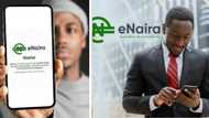 e-Naira: CBN speaks on relationship between Nigeria's digital currency and banks