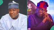 "What Tinubu's tax reforms is doing to Nigerians": Former speaker Dogara opens up