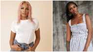 Nigerians react to Seyi Shay's declaration of love for Tiwa Savage in response to a troll