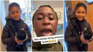 "I'm afraid of it": Woman living abroad shouts in fear as kid brings home strange black bird, video goes viral