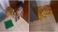 "Children are not good": Man cries out online as his baby girl breaks one crate of egg, photos go viral