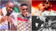 Wizkid and Davido stand feet away from each other inside Ghana club, singers refuse to mingle, video emerges