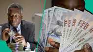 CBN eases dollar pressure with $86.6m sale as naira sells for new price in parallel market