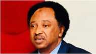 PDP, APC, LP: Shehu Sani Ya Faɗi Jam'iyyar Da Ya Kamata Gwamnoni Da Ke Fushi Da Jam'iyyarsu Su Shiga