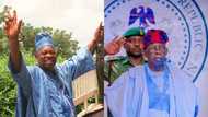"A champion of democracy": Tinubu eulogises mentor MKO Abiola 25 years after demise