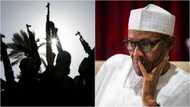 Just in: This is the time for every Boko Haram member to pay - Buhari goes tough on terrorists for killing CAN chairman