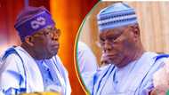 BREAKING: Tribunal takes action on PDP, Atiku’s petitions questioning Tinubu’s qualifications