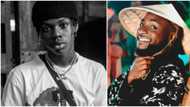 I'm inspired: Rema reacts as Davido's Fall becomes first afrobeats video with 200M views on Youtube