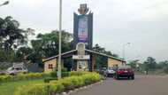 Tragic scenes as angry mob beat final year OAU to death for alleged theft