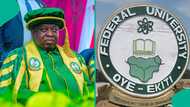 Law, over 10 other courses you can study at Federal University Oye-Ekiti with 150 JAMB score