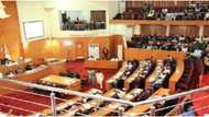 APC chairman in soup over missing government’s property, lawmakers kick