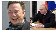 Elon Musk concedes the richest man in the world title to Vlamir Putin