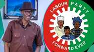 Labour Party reacts as Supreme Court sacks Abure as national chairman: “The implication is clear”