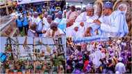 Bikin bajekolin amfanin gona da gasar kamun kifi: Buhari ya wasa gwamnatinsa a Argungu