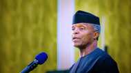Presidency 2023: Why VP Yemi Osinbajo deserves to succeed Buhari - Youth advocate reveals