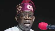 4 major issues that might frustrate Tinubu’s administration