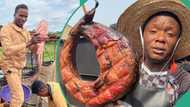 "I was born into it": Adekunle Ajasin University Graduate dumps certificate, becomes a fish farmer