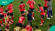World Cup coach resigns after group stage exit as president demands investigation