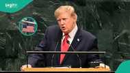 Green Card for refugees: US announces 7 requirements foreign applicants must meet to apply