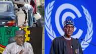 Fuel scarcity is a ploy to impose price increase on Nigerians, analysts say