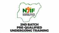 Nigeria Youth Investment Fund Budgets N75million to Empower Youths