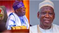 APC chair: Scramble for top positions intensifies as NEC holds crucial meeting, Ganduje to know fate