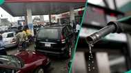 Imported petrol costs more than Dangote fuel as price gap widens by N170
