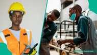 Step-by-step guide to applying for NAPEP’s training, N100,000 grants, and micro-credit