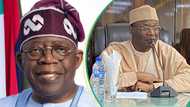 Tinubu's allies reportedly shopping for INEC Chairman Yakubu’s replacement, reason surfaces