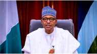 IMF wants Nigerian government to increase petrol price, remove fuel subsidy