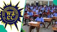 Just In: WAEC releases important subject combinations for 2026 examination, full list emerges