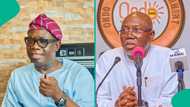 Ondo governorship election: Yoruba council predicts winner as APC, PDP, others lock horns