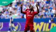 Kelechi Iheanacho: Super Eagles star scores crucial goal on Celtic debut, video