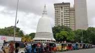 Sri Lanka bets on casino magnate to revive wrecked economy