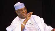 Tribunal: You have no right to challenge presidential result as you’re not a Nigerian - APC to Atiku