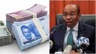 New Naira Notes: CAN Reveals What Should Be Done to Banks Hoarding Cash, Causing Scarcity