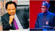 “Contrast to his boring era”: Shehu Sani throws jibe at Buhari as President Tinubu sacks service chiefs