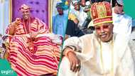 Oluwo of Iwo faces massive backlash over comments on native doctors and traditional practices