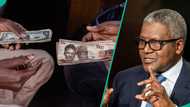 Dangote advises Nigerians with US dollar to sell now, gives reasons