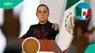 Mexico explains how many years foreigners must live in the country before applying for citizenship
