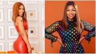 BBNaija drama: Tacha throws shade at Mercy over reality show, Pepper Dem winner reacts