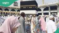 2025 hajj: 9 Nigerian pilgrims dead, 3 miscarriages recorded in Saudi Arabia